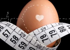 Institute of Egg Studies Announces Annual Research Award
